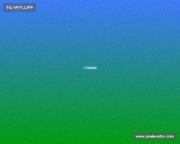 GX战队全新启航