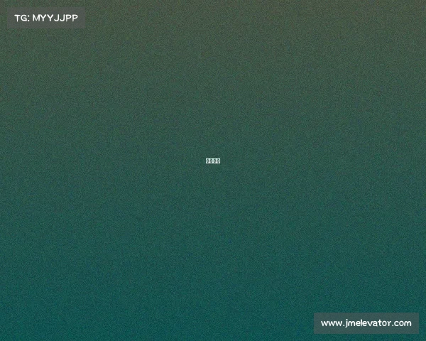 何冲解说 何冲解说